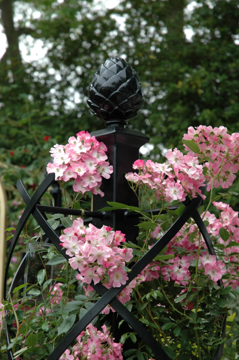 Kovový obelisk zakončený monumentální šiškou popnutý růžovou růží s jednoduchým květem