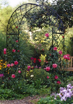 kulatý zahradní oblouk popnutý rudou růží