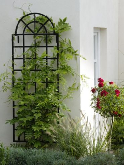 trelaz-pro-ruze-orangerie-spaliere-01